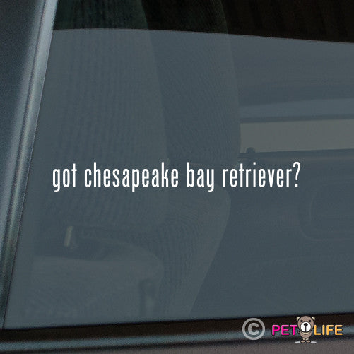 Got Chesapeake Bay Retriever Sticker