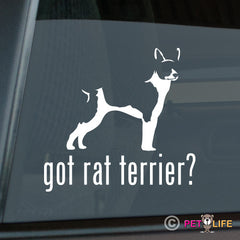 Rat Terrier