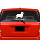 Norfolk Terrier Mom Sticker